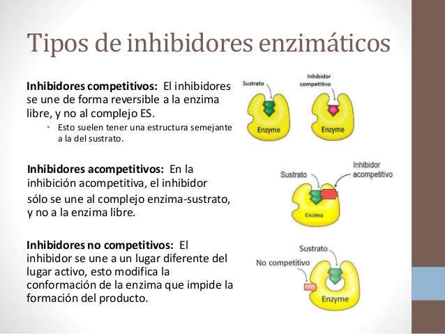 inhibidores enzimaticos